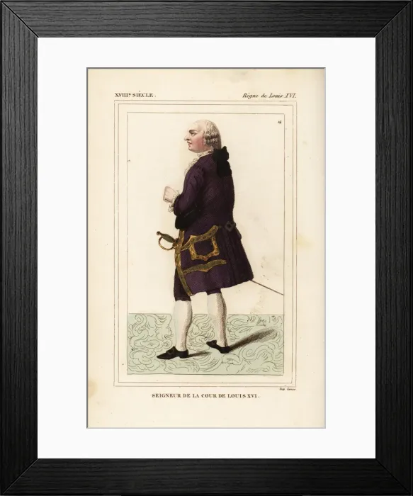 Framed Print : Lord of the court of King Louis XVI, France Framed Print : Lord of the court of King Louis XVI, France