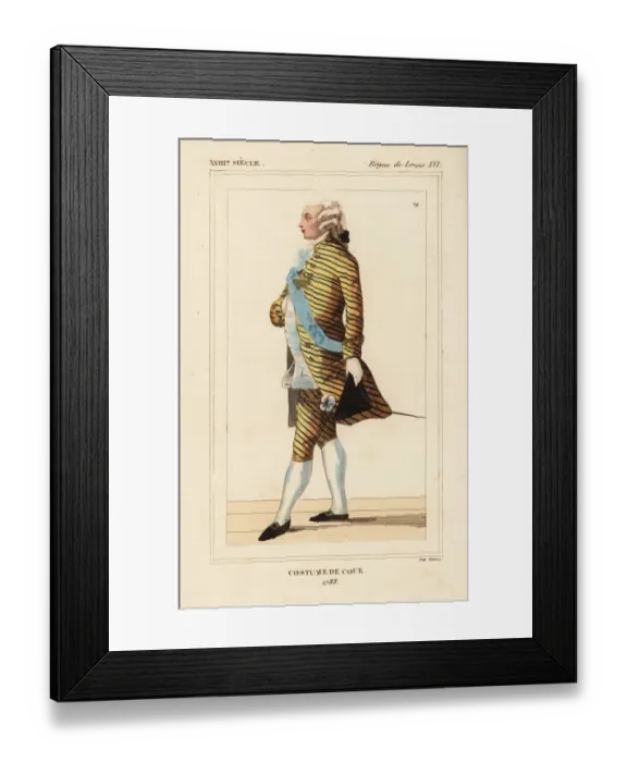 Framed Print : French man in court costume, 1788, court of King Louis XVI Framed Print : French man in court costume, 1788, court of King Louis XVI