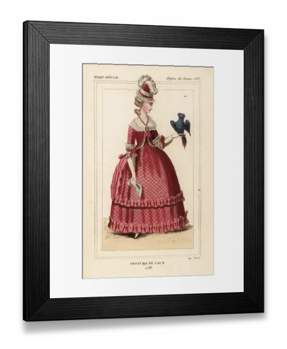 Framed Print : French woman in court costume with parrot Framed Print : French woman in court costume with parrot