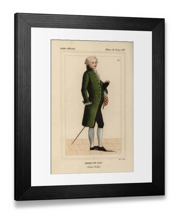 Framed Print : French mens fashions of 1789 (young nobleman) Framed Print : French mens fashions of 1789 (young nobleman)