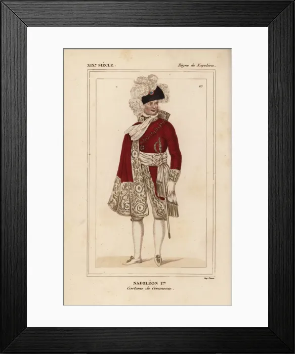 Framed Print : Emperor Napoleon Ist, in ceremonial robes, 1804 Framed Print : Emperor Napoleon Ist, in ceremonial robes, 1804