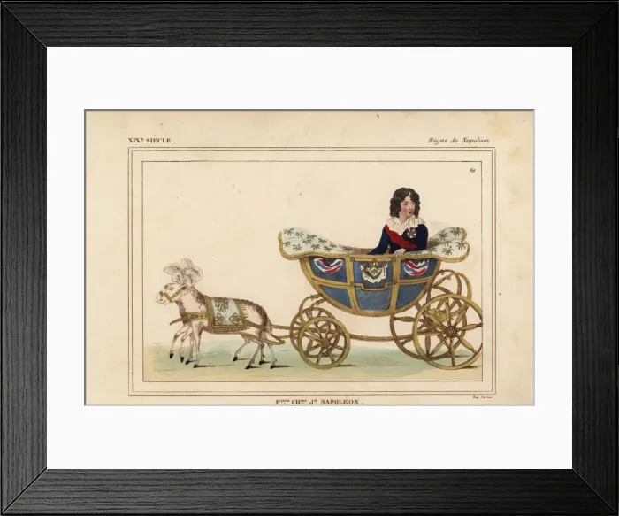 Framed Print : Francois Charles Joseph Napoleon, King of Rome 1811-1832