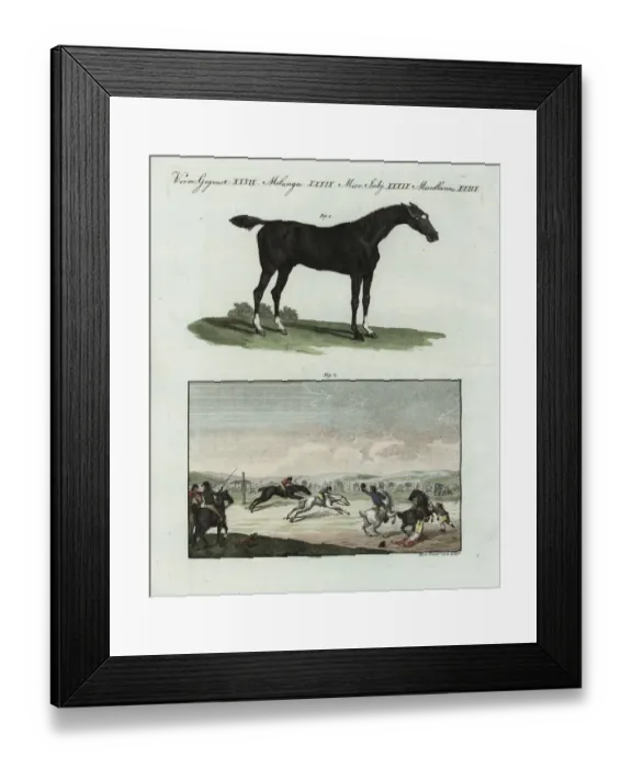 Framed Print : English racing horse and racetrack Framed Print : English racing horse and racetrack