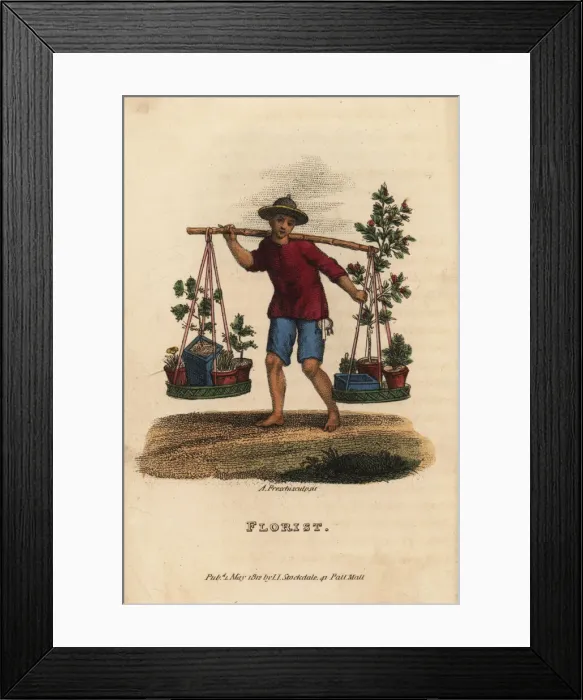 Framed Print : Chinese florist selling miniature trees Framed Print : Chinese florist selling miniature trees