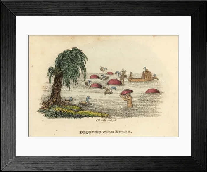 Framed Print : Chinese men hunting wild ducks with decoy Framed Print : Chinese men hunting wild ducks with decoy