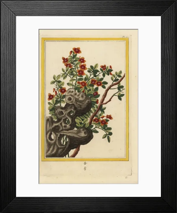 Framed Print : La Brunier Framed Print : La Brunier