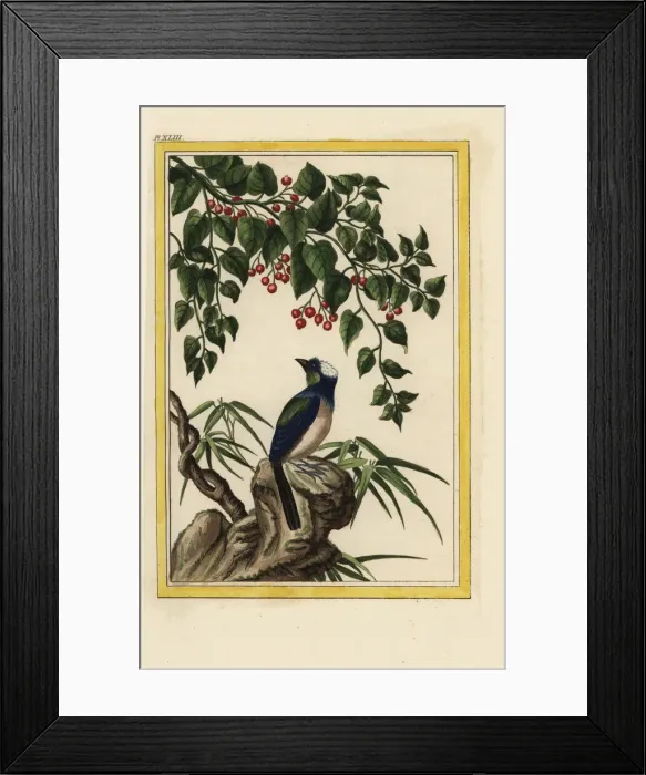 Framed Print : Le Dehorne Framed Print : Le Dehorne