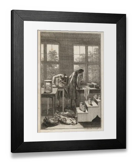 Framed Print : Scientists in a lab examining specimens in Framed Print : Scientists in a lab examining specimens in