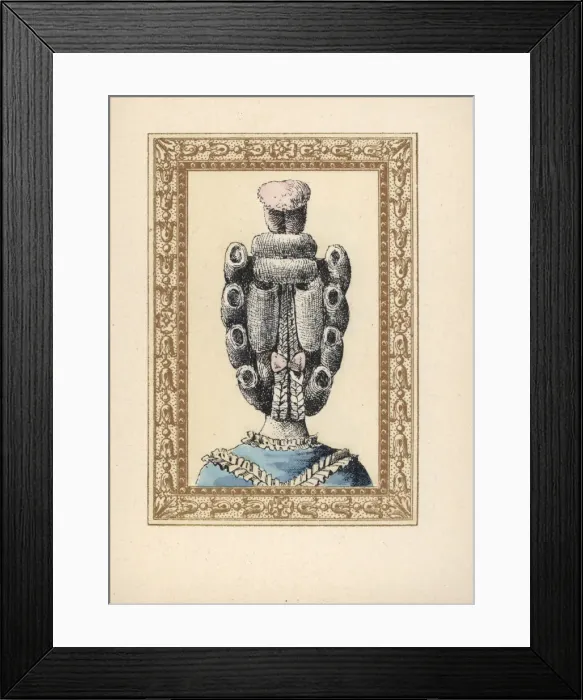 Framed Print : Rear view of a womans chignon with two pigtails Framed Print : Rear view of a womans chignon with two pigtails