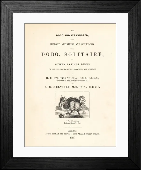 Framed Print : Title page with Willem Ysbrantsz Bontekoe s Framed Print : Title page with Willem Ysbrantsz Bontekoe s