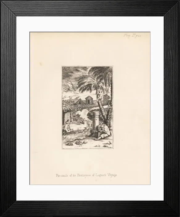 Framed Print : Rodrigues solitaire and domed Rodrigues giant Framed Print : Rodrigues solitaire and domed Rodrigues giant