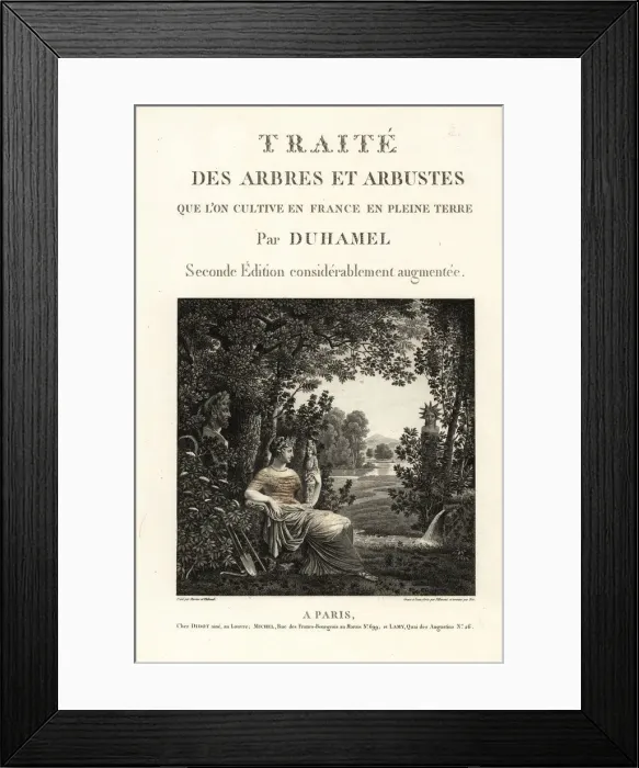 Framed Print : Title page vignette of goddess of agriculture Framed Print : Title page vignette of goddess of agriculture
