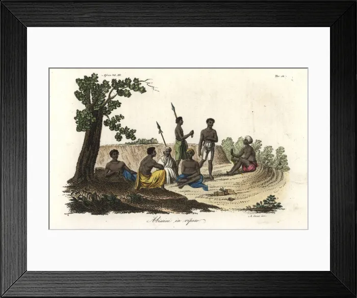 Framed Print : Abyssinians relaxing Framed Print : Abyssinians relaxing