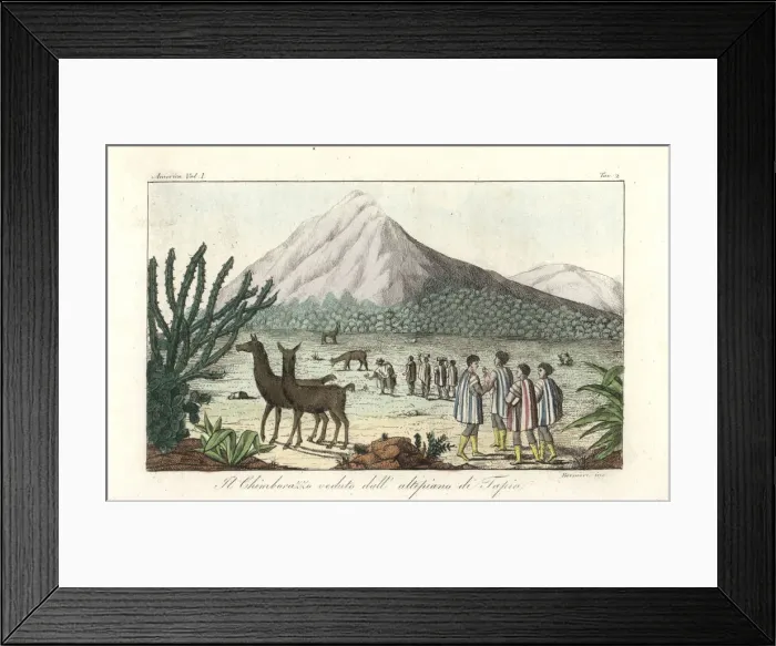 Framed Print : View of the Chimborazo volcano in the Andes Framed Print : View of the Chimborazo volcano in the Andes