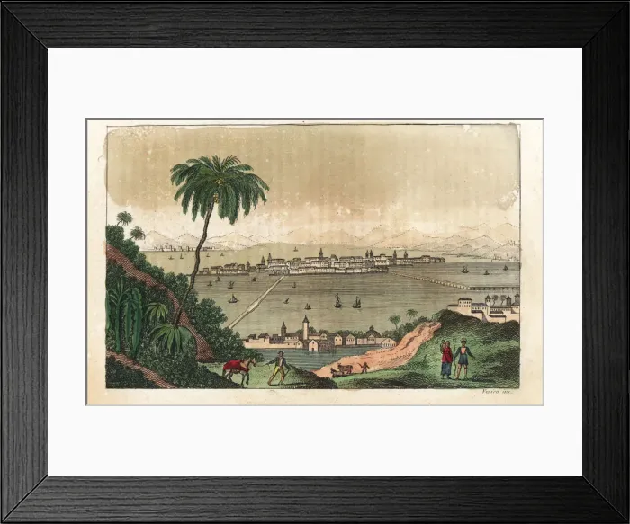 Framed Print : View of Mexico City, circa 1820 Framed Print : View of Mexico City, circa 1820