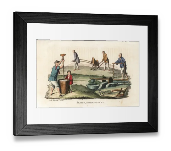 Framed Print : Chinese agriculture Framed Print : Chinese agriculture