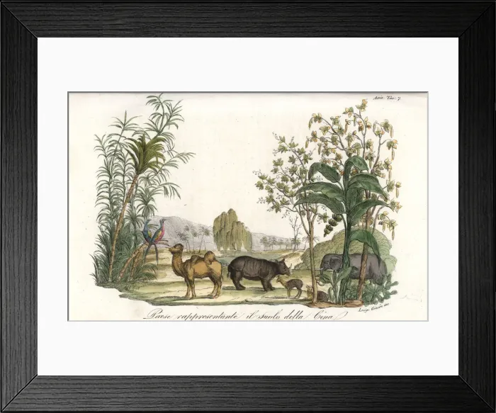 Framed Print : Flora and fauna of Asia, including elephant Framed Print : Flora and fauna of Asia, including elephant