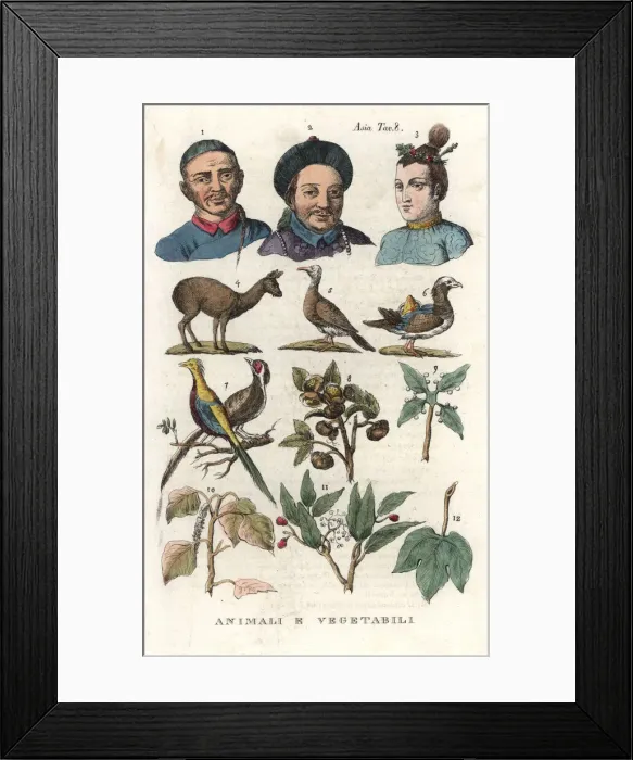 Framed Print : Chinese portraits, fauna and flora Framed Print : Chinese portraits, fauna and flora