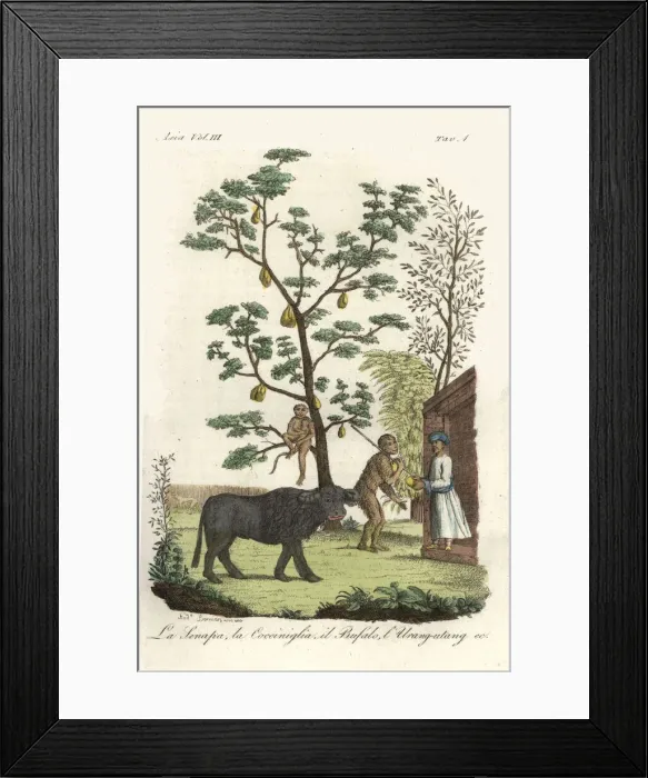 Framed Print : Mustard plant with cochineal beetles, water Framed Print : Mustard plant with cochineal beetles, water