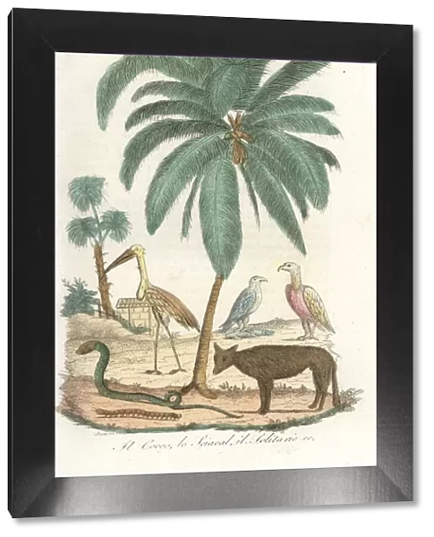 Coconut palm tree, jackal, snakes and birds of India