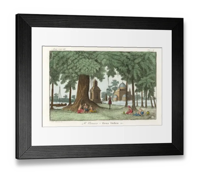 Framed Print : Indian men and women under an Indian banyan Framed Print : Indian men and women under an Indian banyan