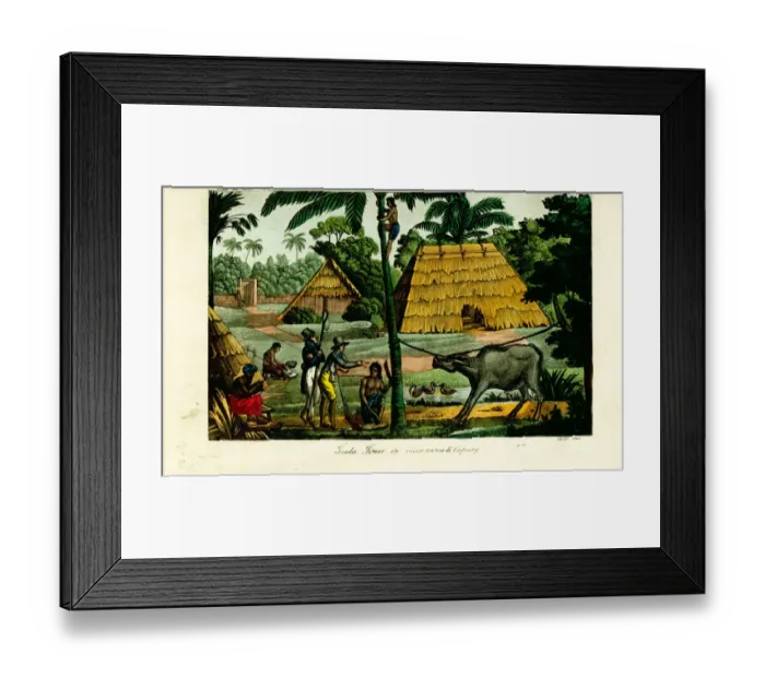 Framed Print : Village scene near Kupang, Timor, 19th century Framed Print : Village scene near Kupang, Timor, 19th century