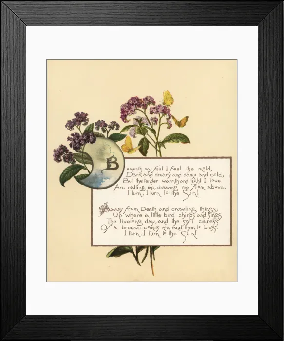 Framed Print : Calligraphic poem in box with flowers and butterflies Framed Print : Calligraphic poem in box with flowers and butterflies