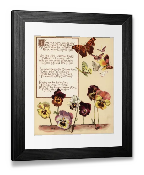 Framed Print : Pansies, Viola tricolor, and butterflies Framed Print : Pansies, Viola tricolor, and butterflies