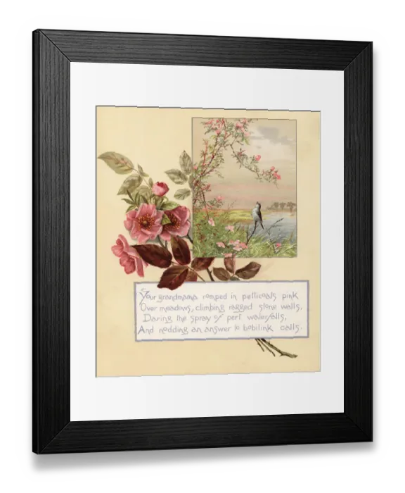 Framed Print : Roses, Rosa canina, with landscape and song bird Framed Print : Roses, Rosa canina, with landscape and song bird