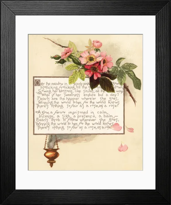 Framed Print : Roses, Rosa canina, with incense censer Framed Print : Roses, Rosa canina, with incense censer