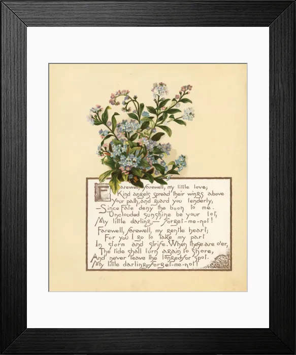 Framed Print : Forget me not, Myosotis palustris, and calligraphic poem Framed Print : Forget me not, Myosotis palustris, and calligraphic poem