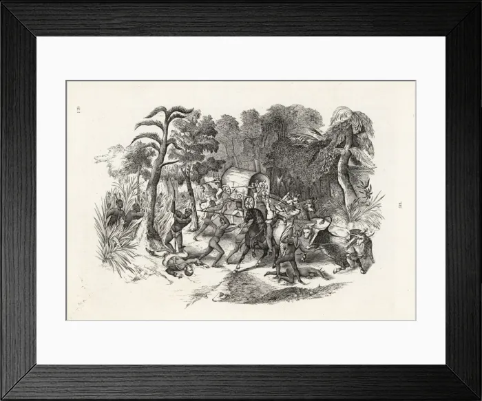 Framed Print : European plant hunters attacked by South African Framed Print : European plant hunters attacked by South African