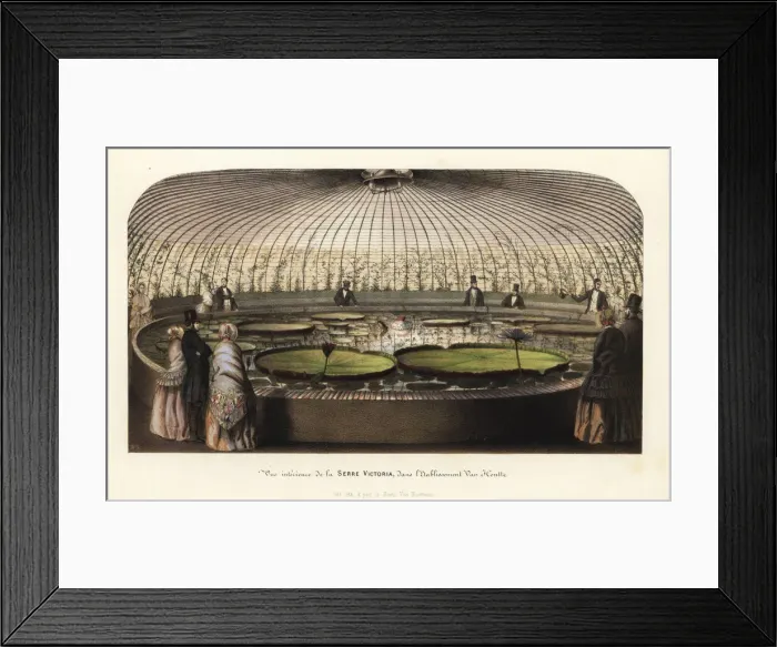 Framed Print : The interior of the Victoria Hothouse in Framed Print : The interior of the Victoria Hothouse in
