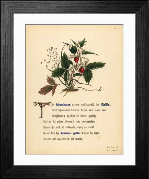 Framed Print : Strawberry, Nettle and Summer-grass (King Henry V) Framed Print : Strawberry, Nettle and Summer-grass (King Henry V)