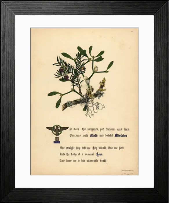 Framed Print : Moss, Mistletoe and Yew (Titus Andronicus) Framed Print : Moss, Mistletoe and Yew (Titus Andronicus)