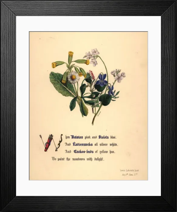 Framed Print : Daisies, Violets, Ladiesmocks and Cuckoo-buds