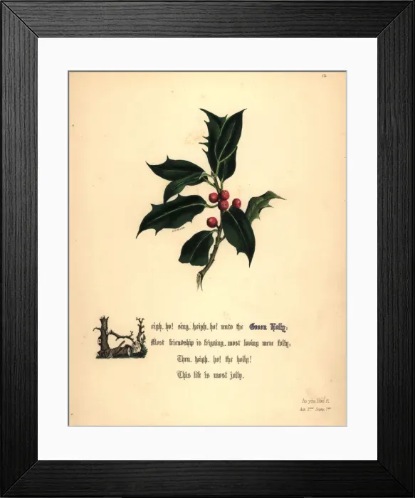 Framed Print : Green Holly (As You Like It) Framed Print : Green Holly (As You Like It)