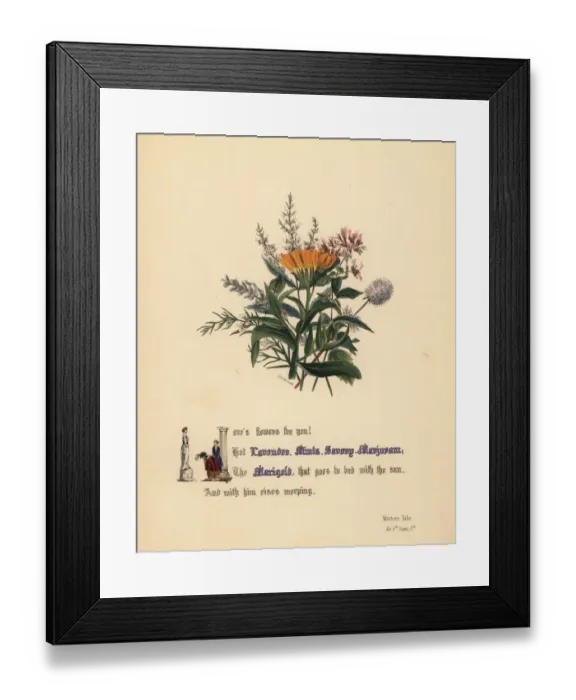 Framed Print : Lavender, Mints, Savory, Marjoram and Marigold Framed Print : Lavender, Mints, Savory, Marjoram and Marigold