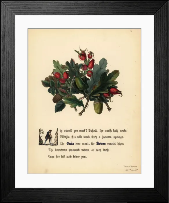 Framed Print : Oaks and Briers (Timon of Athens) Framed Print : Oaks and Briers (Timon of Athens)