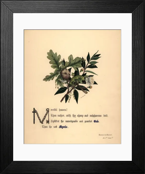 Framed Print : Oak and Myrtle (Measure for Measure) Framed Print : Oak and Myrtle (Measure for Measure)