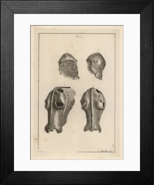 Framed Print : Helmet and chafron that belonged to Guy, Earl of Warwick Framed Print : Helmet and chafron that belonged to Guy, Earl of Warwick