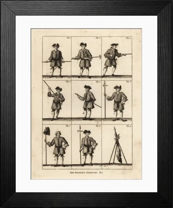 Framed Print : Halberd military exercises Framed Print : Halberd military exercises