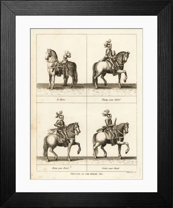 Framed Print : Exercise of the horse Framed Print : Exercise of the horse
