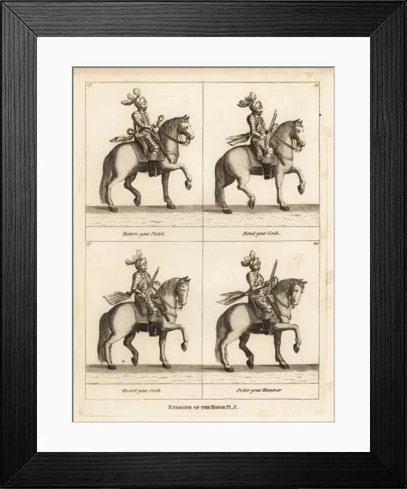 Framed Print : Exercise of the horse Framed Print : Exercise of the horse