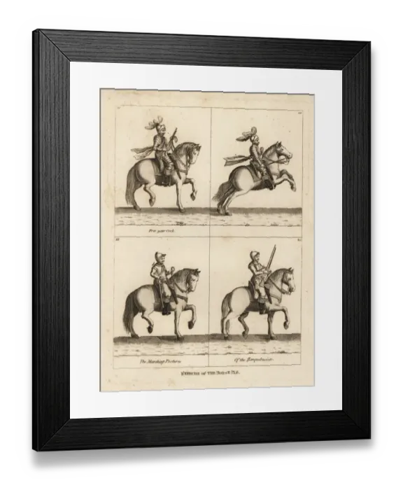 Framed Print : Exercise of the horse Framed Print : Exercise of the horse