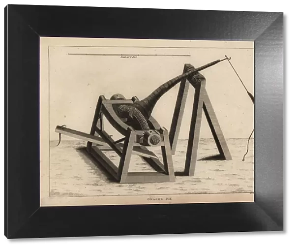Onager, a type of catapult to project stones