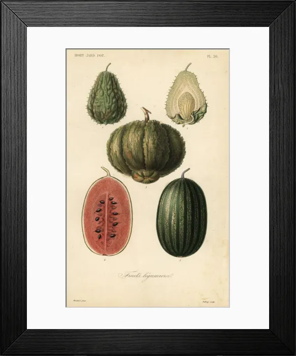 Framed Print : Fruits, fruits legumieres Framed Print : Fruits, fruits legumieres