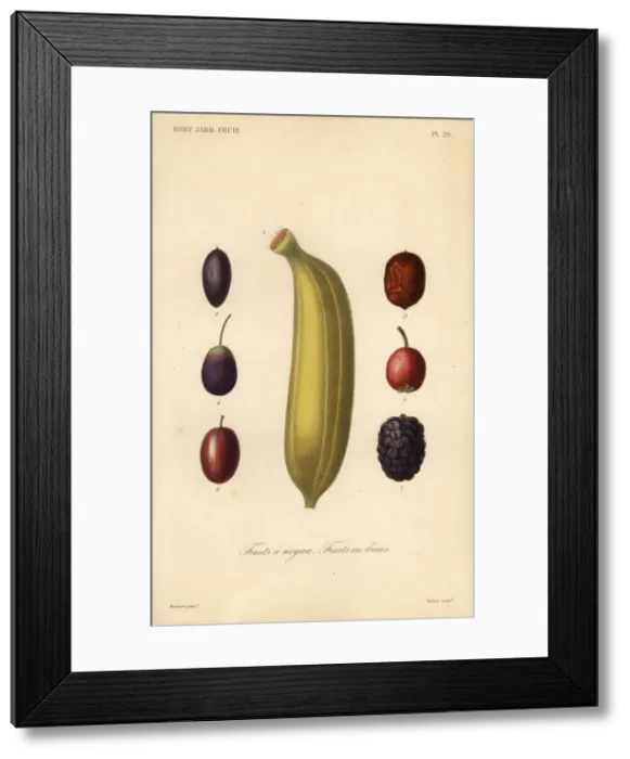 Framed Print : Fruits, Fruits a noyau Framed Print : Fruits, Fruits a noyau