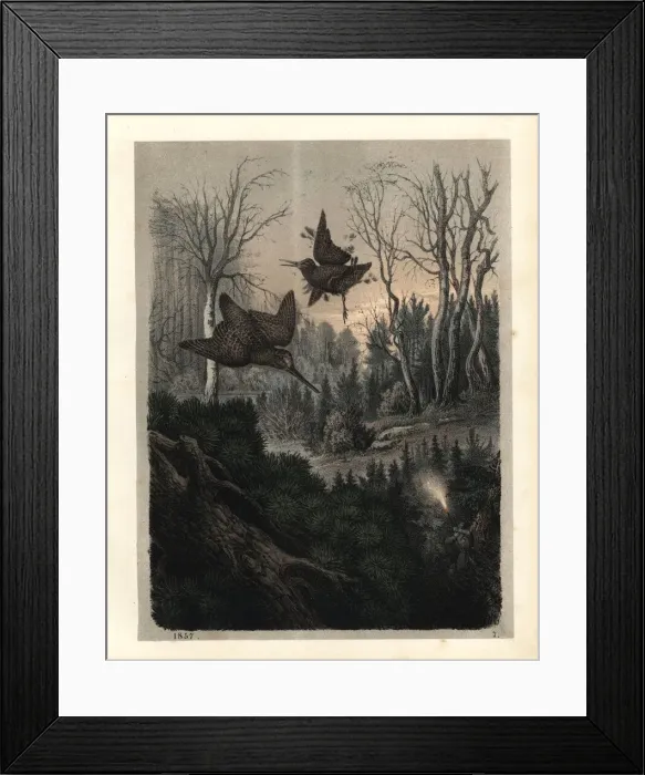 Framed Print : Hunter with rifle shooting game birds at night Framed Print : Hunter with rifle shooting game birds at night