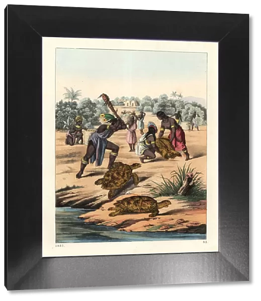 Native Americans hunting the loggerhead sea